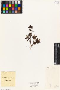 SW_BNB_s3010-04350_IMG-0000000001