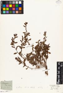 SW_BNB_s3010-04352_IMG-0000000001