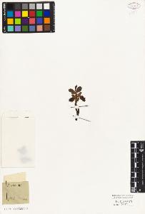 SW_BNB_s3010-04353_IMG-0000000001