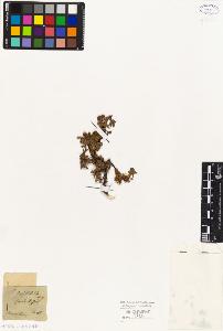 SW_BNB_s3010-04354_IMG-0000000001