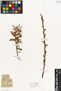 SW_BNB_s3010-04361_IMG-0000000001