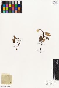 SW_BNB_s3010-04366_IMG-0000000001