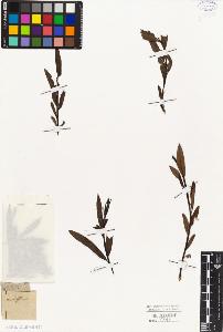 SW_BNB_s3010-04367_IMG-0000000001