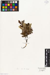 SW_BNB_s3010-04370_IMG-0000000001