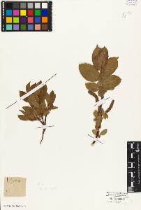SW_BNB_s3010-04371_IMG-0000000001