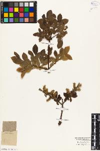 SW_BNB_s3010-04373_IMG-0000000001