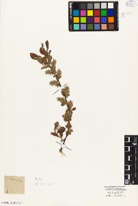 SW_BNB_s3010-04374_IMG-0000000001