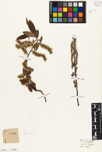 SW_BNB_s3010-04375_IMG-0000000001