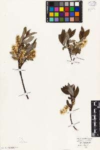 SW_BNB_s3010-04379_IMG-0000000001