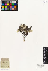 SW_BNB_s3010-04380_IMG-0000000001