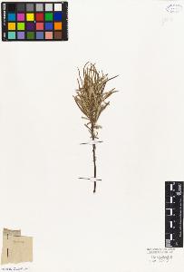 SW_BNB_s3010-04388_IMG-0000000001