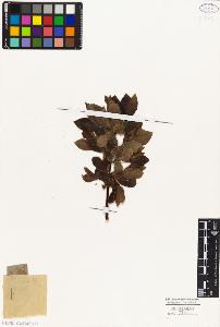 SW_BNB_s3010-04397_IMG-0000000001