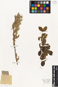 SW_BNB_s3010-04405_IMG-0000000001