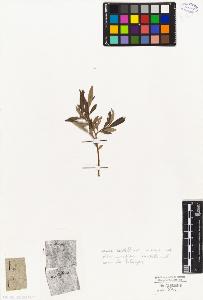 SW_BNB_s3010-04407_IMG-0000000001