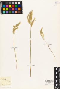 SW_BNB_s3010-04410_IMG-0000000001