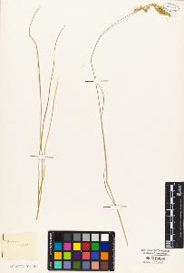 SW_BNB_s3010-04412_IMG-0000000001