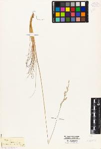 SW_BNB_s3010-04416_IMG-0000000001