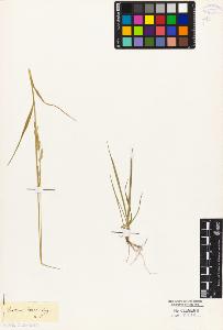 SW_BNB_s3010-04417_IMG-0000000001