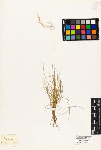 SW_BNB_s3010-04418_IMG-0000000001
