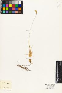 SW_BNB_s3010-04423_IMG-0000000001
