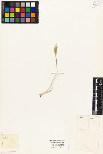 SW_BNB_s3010-04424_IMG-0000000001