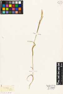 SW_BNB_s3010-04425_IMG-0000000001