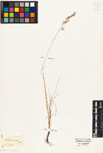 SW_BNB_s3010-04427_IMG-0000000001