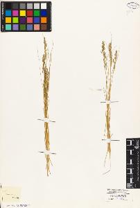 SW_BNB_s3010-04428_IMG-0000000001