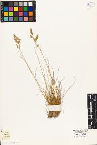 SW_BNB_s3010-04430_IMG-0000000001