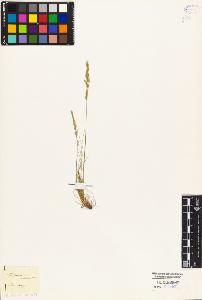 SW_BNB_s3010-04431_IMG-0000000001