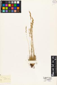 SW_BNB_s3010-04432_IMG-0000000001