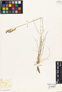 SW_BNB_s3010-04433_IMG-0000000001
