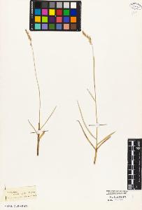 SW_BNB_s3010-04434_IMG-0000000001