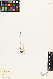 SW_BNB_s3010-04437_IMG-0000000001
