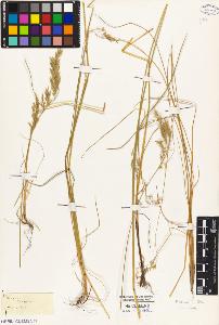 SW_BNB_s3010-04438_IMG-0000000001