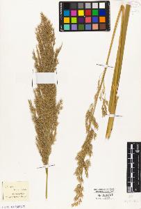 SW_BNB_s3010-04444_IMG-0000000001