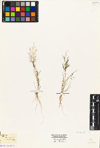 SW_BNB_s3010-04448_IMG-0000000001