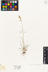 SW_BNB_s3010-04449_IMG-0000000001