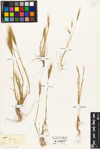 SW_BNB_s3010-04454_IMG-0000000001