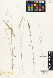 SW_BNB_s3010-04458_IMG-0000000001