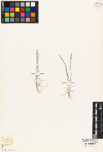 SW_BNB_s3010-04459_IMG-0000000001