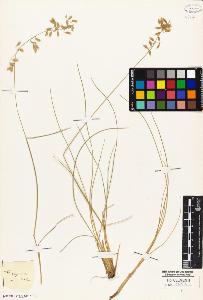 SW_BNB_s3010-04460_IMG-0000000001