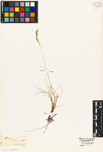 SW_BNB_s3010-04461_IMG-0000000001