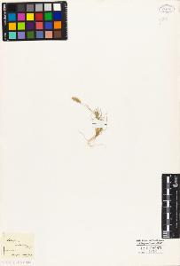 SW_BNB_s3010-04465_IMG-0000000001