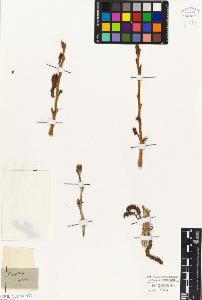 SW_BNB_s3010-04472_IMG-0000000001