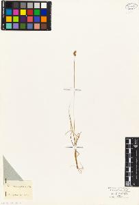 SW_BNB_s3010-04494_IMG-0000000001