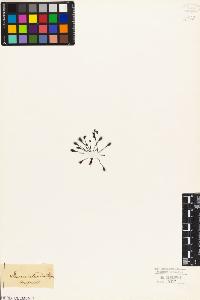 SW_BNB_s3010-04496_IMG-0000000001
