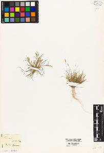 SW_BNB_s3010-04498_IMG-0000000001
