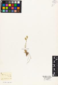 SW_BNB_s3010-04499_IMG-0000000001