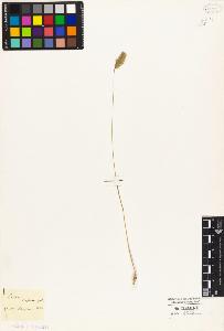 SW_BNB_s3010-04500_IMG-0000000001